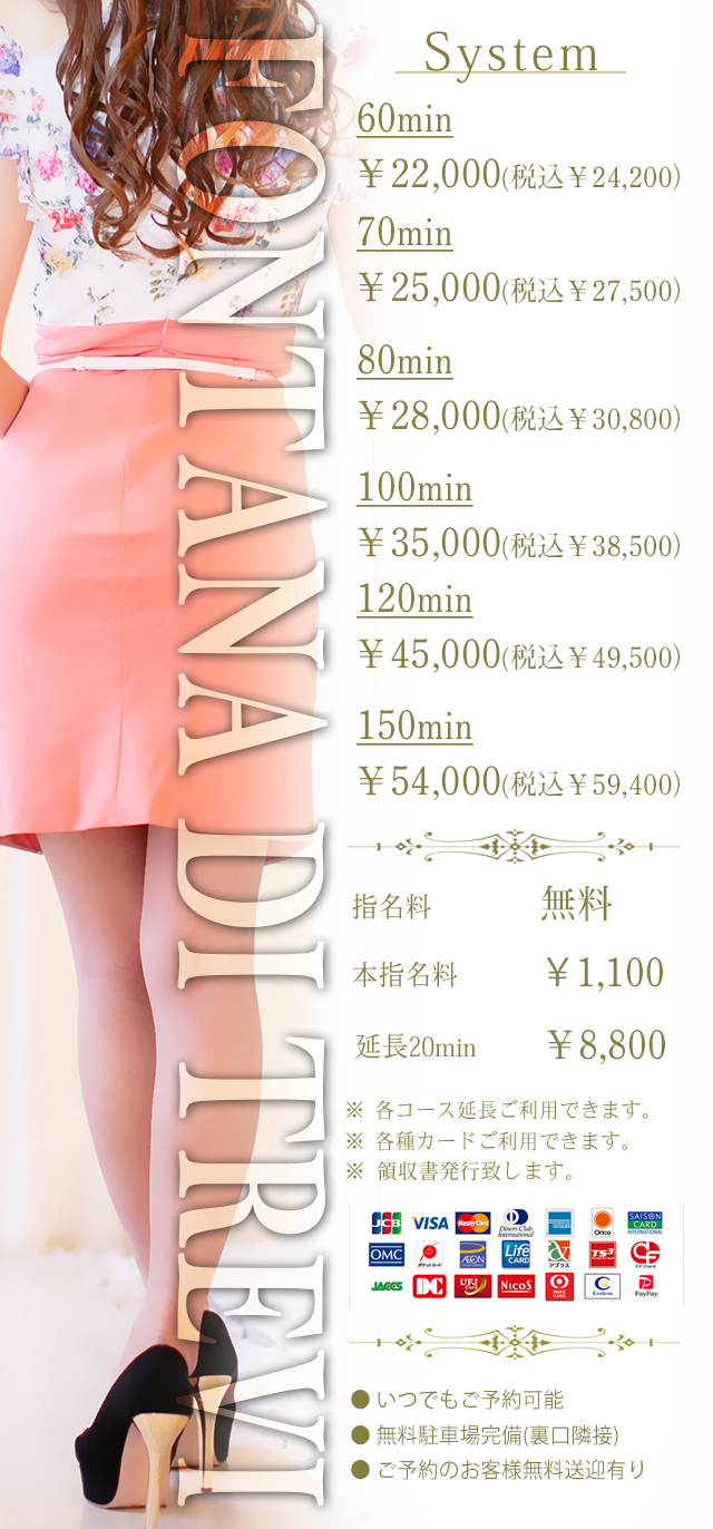 トレビの泉料金システム